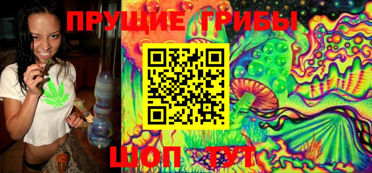 Псилоцибиновые грибы Psilocybine cubensis  Вход с VPN  Чехов 