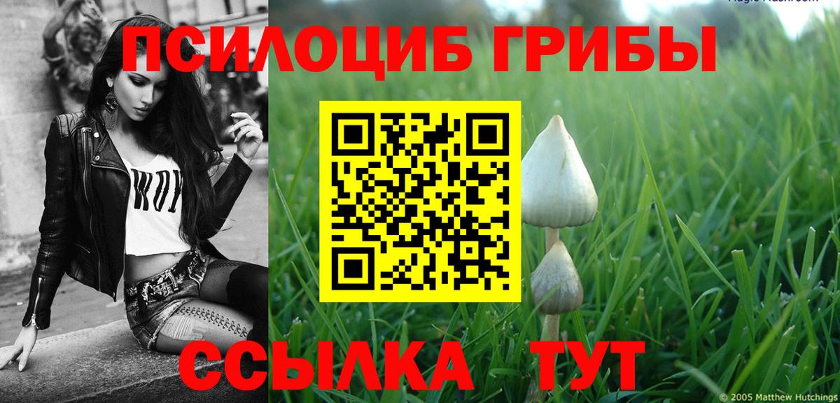 Псилоцибиновые грибы прущие грибы Чехов